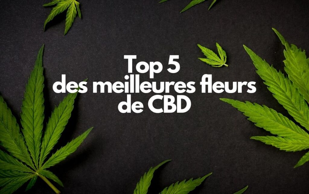 top 5 des meilleures fleurs de CBD.