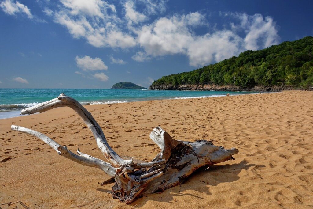 location de voiture en Guadeloupe