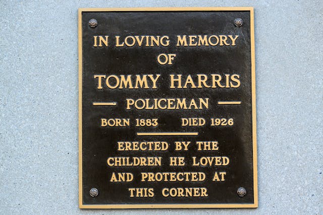 Plaque